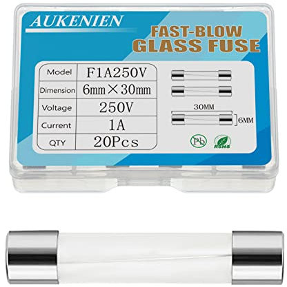 AUKENIEN 1A 1 Ampere 250V Glassicherung 6x30MM Sicherungen Glasrohrsicherung Feinsicherung Schnelle Schlag Glas Sicherung