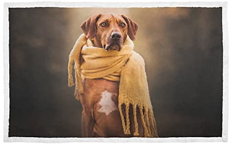 Hengpai Rhodesian Ridgeback Hundedecke, warmes Haustierbett