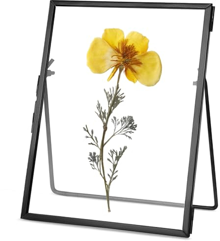 REDHUGO Marco de flores prensadas de vidrio hecho a mano, marcos flotantes para flores prensadas, marcos de fotos de mesa, marco de fotos de escritorio de latón para muestras de plantas en casa,
