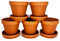 meindekoartikel 5 Töpfe und 5 Untersetzer aus Ton - Blumentopf Pflanzgefäß für Garten, Balkon und Zuhause (10tlg.Set - Ø 12 cm)