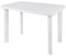 Spetebo Kunststoff Gartentisch 100 x 72 cm - weiß - Campingtisch rechteckig im klassischen Design - Balkontisch Terrassentisch Campingtisch Oudoor Garten Tisch für den Außenbereich