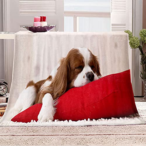 Wolldecken Flauschige Flanell Fleecedecke 130X150Cm Welpe Mit Rotem Kissen Muster Wohndecken Kuscheldecken Für Kinder, Extra Dicke Warm Couch/Sofadecke, Kuschelig Weich & Pflegeleichte