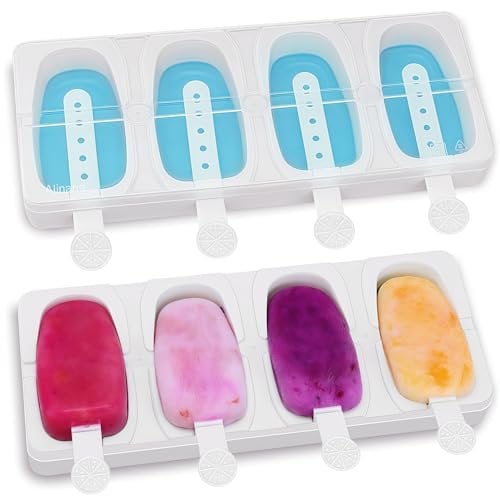 Alinana 2-Pack Moules à Glaces avec Bâtons, Moules à Glaces sans BPA, Moules à Popsicle Empilables et Solides pour Créer des Glaces avec Lait, Crème Fouettée, Lait de Coco ou Yaourt