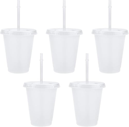 5Pcs 500ml Iced Water Cups with Lids & Straws - Cold Drinking Tumblers, Plastic Tumbler Set, Reusable & BPA Free Plastic Cup, Slushie Cup Coffee Smoothie Slushy Drinking Cup, Party Cups for Kid Adults