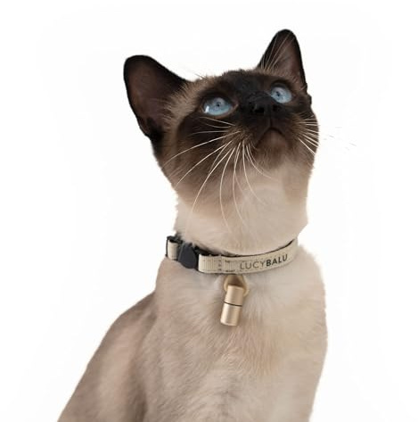 LucyBalu® Willy Collier pour Chat en Nylon avec Capsule Nominative