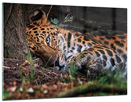 Wandbilder Dekoration Wohnzimmer Leopard Porträt Jaguar Bilder auf Glas 120x80cm Glasbild Schlafzimmer Küche Deko Wand Kunstdruck Art Groß XXL Wanddeko Bild im Glas Modern Wall Decor GAA120x80-4493