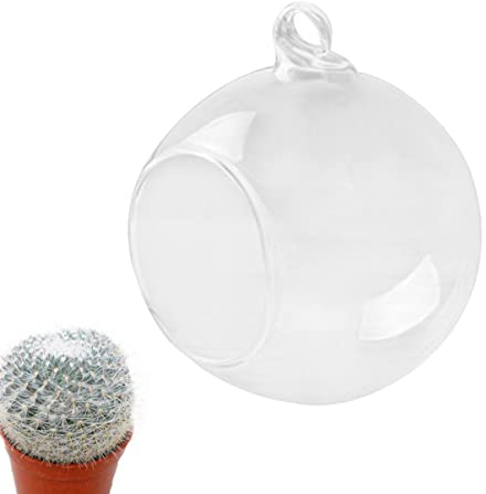 GOOHOCHY Glass Containers 1 Pc terrario Plantas Colgantes jarrones Vidrio macetero Colgante Cristal tendedero Soportes para Plantas florero Bola Cristal nórdico candelero Musgo