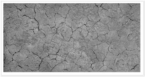 Lot de 8 panneaux en polysytrol XPS aspect pierre polystyrène - Panneaux muraux et de plafond - Décoration murale - 100 x 50 cm - Épaisseur 3 mm - 4 m² - (Desert XL8)