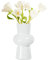 Koomuao Blumenvase Glas,Hydroponische GlasblumenvaseTulpenvase Glasblasenvase für Blumen,Glasvase für Tischdeko,Dekorative Vase für Pampasgras, Tulpen, Orchideen, Rosen, Trockenblumen (Weiß)