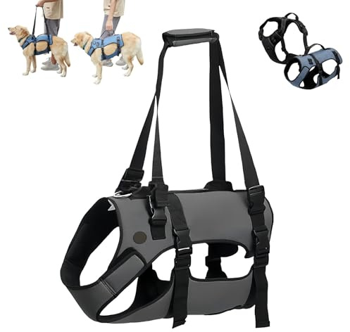 2026 Arthrose Geschirr, Atmungsaktiv und Einstellbar Tragehilfe Hund Groß, Treppenhilfe für Hunde, Eure Tägliche Stütze, für Mehr Gute Tage Zusammen(Anthrazit,L (14–32 kg))