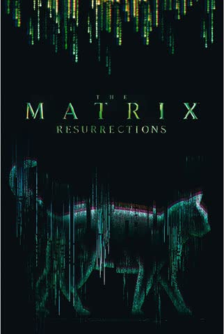 Matrix - Cat - Druck Plakat Film Poster - Größe 61x91,5 cm