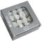 Box 4x4 Rose Stabilizzate Made in Italy - Disponibile in Diversi Colori - 16 Rose Eterne Fiori Stabilizzati (16 Mini Bianche)