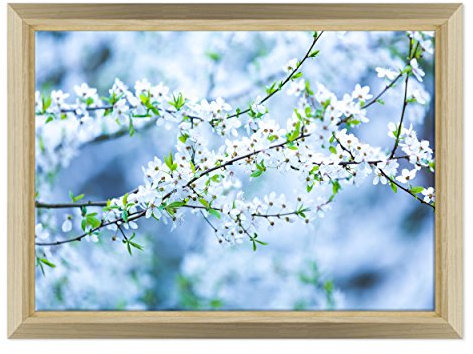 ConKrea Quadro su Tela Canvas INTELAIATO - con Cornice - Fiori di pesco - mandorlo - Fiori Bianchi - 70x100cm - Stile Design Legno Naturale - (cod.2586)