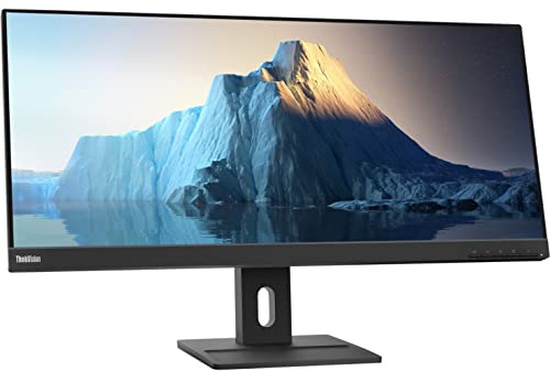 Lenovo ThinkVision E29w-20 - Monitor LCD WLED UW-UXGA da 29, 21:9, colore: Nero corvo