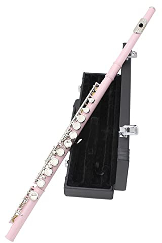 16-Loch-C-Key-Flöte, Kupfernickel-beschichtetes Silber, Holzbläser Mit Reinigungstuch, Stickhandschuhe, Gepolstertes Etui Querflöte Anfänger (Color : Pink)