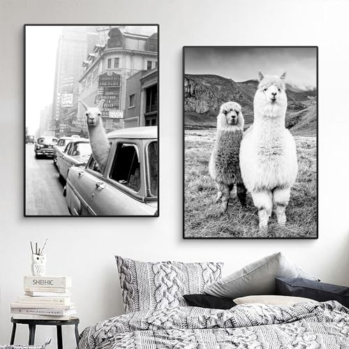 CULASIGN 2 Stück Premium Poster Set Ohne Rahmen, Schwarz Und Weiß Alpaka, Moderne Wandkunst Tier Bilder, Wandbilder Deko für Wohnzimmer Büro Flur Eingang (40x50cm)