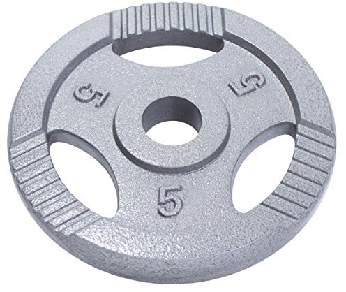 GORILLA SPORTS® Olympia Hantelscheiben - 1,25kg, 2,5kg, 5kg, 10kg, 15kg bis 20kg Gewichte, 50mm Bohrung, Tri-Grip, aus Gusseisen, Silber - Gewichtsscheiben, Olympiascheiben