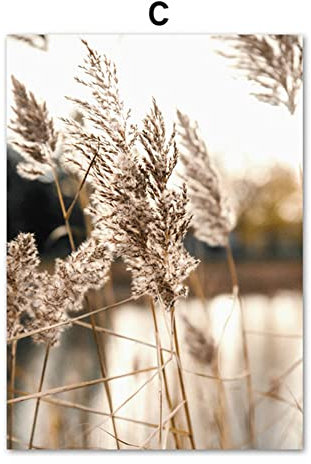 ABCWARRT Nordic Schilf Wildpflanze Poster Und Wüstenlandschaft Drucke Wandkunst Leinwand Malerei Wand Heu Bilder Für Wohnzimmer Wohnkultur (3,20 * 30cm Kein Rahmen)
