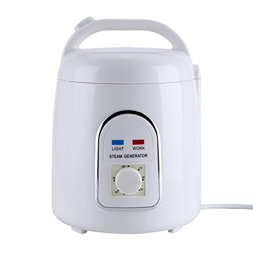 Fdit Sauna Vapor 1.5-1.8L Sauna portátil Steam Sauna SPA para Hogar Baño 110V / 220V(220V EU Plug)