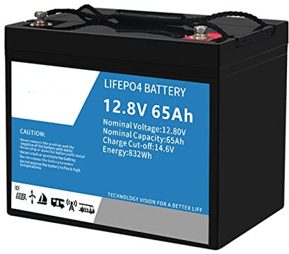 TGHY Deep Cycle Battery 12V LiFePO4 Lithium Akku LiFePO4 Batterie 12V Lithium Eisen Phosphat Batterie für Solarleuchten, Notstromversorgung, Golfwagen, UPS-System, Wohnmobil,65ah