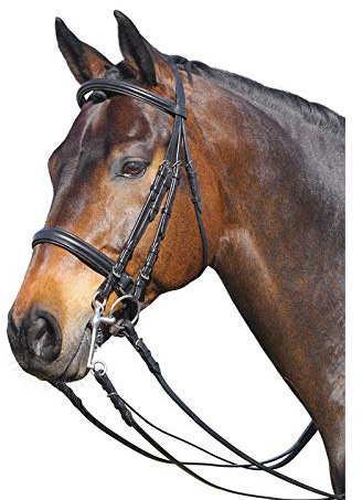 Euroriding Kandare Leder in schwarz