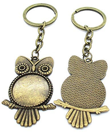 50 Stück Antik-Bronze-Ton Schlüsselanhänger Schmuck-Verschlüsse Lieferanten TK0982 Eule Cabochon Rahmen Basis
