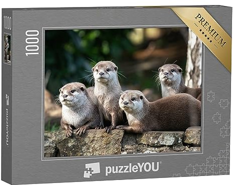 puzzleYOU: Puzzle 1000 Teile „Gruppe von Vier aufmerksamen Orientalischen Kleinfischottern“ – aus der Puzzle-Kollektion Otter, Fische & Wassertiere
