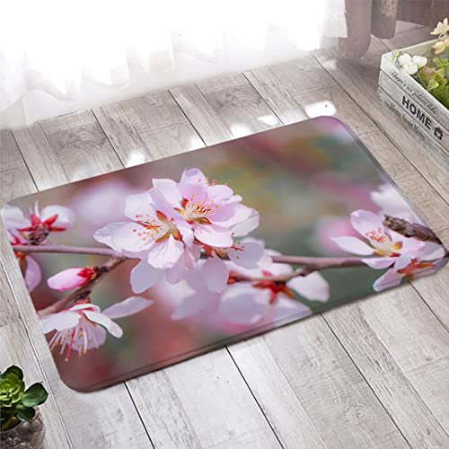 Paillasson Welcome, Tapis Entree Terracotta Rose Motif Fleur de Pêcher 50X160cm pour la Cuisine de la Salle de Bain