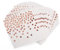Rapidbok 60 Pièces Serviette Papier, Serviettes Anniversaire Or Rose, Serviettes Jetables 33x33cm, Serviettes Cocktail Papier, Serviette de Table pour Anniversaire, Fête, Mariage, Décorations