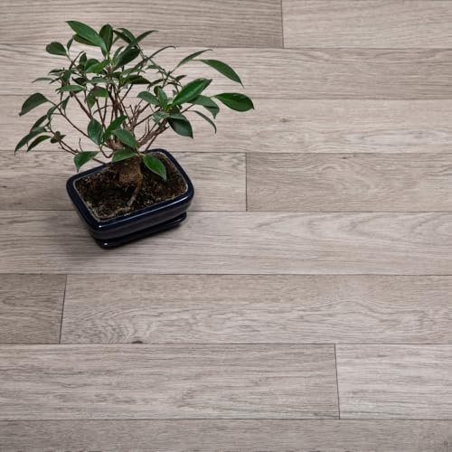 FloorPro Michigan Oak Vinyl Plank Design Vinyl Roll Flooring Light Brown Oak Stylish Plank Pattern Cushioned Bathroom Kitchen Lino Flooring (1, 2metres x 4metres (6ft 6 x 13ft 1))