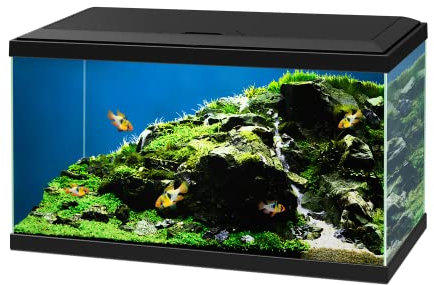 Ciano Aqua 60 PLUS - Acuario de vidrio tropical LED - Incluye filtro de luces calentador, 65 L, color negro