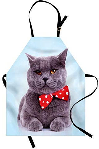ABAKUHAUS Katze Kochschürze, Grau Scottish Fold Theme, Unisex-Küchenlätzchen mit verstellbarem Hals für Kochen Gartenarbeit, 67 cm x 80cm, Blassblau Purpleblue