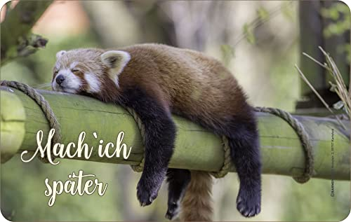 empireposter Fun - mach ich später - Resopal Brettchen Frühstücksbrettchen 23,5x14,5 cm