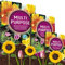Multi Purpose Compost Bags With Nutrient Rich Formula & Improved Water Retention Ideal For Garden Use, Outdoor Plants, Tubs, Pots & Hanging Baskets (60 Litre Bag)