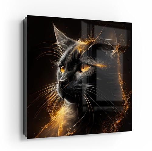 DEQORI Schlüsselkasten schwarz | 30x30 cm | Motiv Goldener Katzenglanz | Glas & Metall Schlüssel-Box | Schlüsselschrank mit 50 Haken + 2 Magnete | Moderne Box magnetisch & beschreibbar