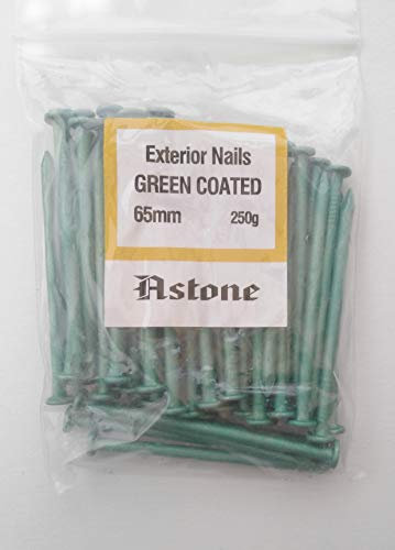 Astone Green Coated Exterior Nails Garden decking Nails (250g x 65mm)