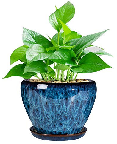 Moderner Keramik-Übertopf für Sukkulenten, mit Ablaufloch und Untersetzer, 15,2 cm, runder Blumentopf für drinnen und draußen, Kräuterschlangenpflanzen