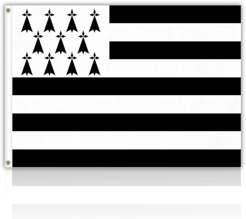 Drapeau Breton 150 x 90cm Drapeau Bretagne 150x90 cm/5x3 ft Parade Décoration Fête Célébration Coupe du Monde
