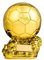 SUSANMAISON Trophée d'or de la Coupe du monde de football personnalisable en résine Réplique de joueur de football - Cadeau d'anniversaire de collection (21 cm)