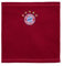 FC Bayern München Fleece Snood I Schlauchschal I Loop I 5-Sterne I Kinder I Rot