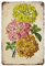 30 x 20 cm, Blumendekoration, Hyazinthen, Vintage-Dekoration, Blumen, Schild, Pflanzen, Schild, Garten, Wanddekoration, Naturbilder