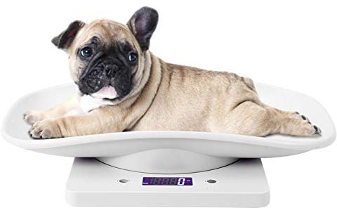 Kuuleyn Digitale Waage für Haustiere, 10 kg/1 g Digitale Waage für kleine Haustiere für Katzen Hunde Messwerkzeug Elektronische Küchenwaage