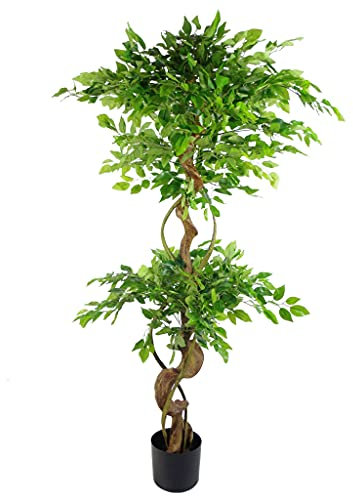 Leaf Design UK Artificial Evergreen Large Trees,150cm Large Twisted Ficus,150cm