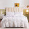 DXHOME Beige Bettwäsche 200x200cm Böhmen Gestreift Streifen Wendebettwäsche Set Boho Style Weiche Gewaschene Microfaser 3teilig Bettbezug mit Reißverschluss und 2 Kissenbezüge 80 x 80cm