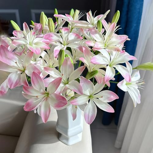 4 pcs lilien zwiebeln blumenzwiebeln lilien geschenke frühblüher zwiebeln balkonpflanzen winterhart plantura bodendecker zwiebel gewächshaus balkon blumenzwiebeln frühblüher lilien