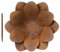 LeFluffy Metal Flowers for Garden, Rusty Garden Ornaments, Decorative Stakes, Metal Sculpture for Borders, Pots and Flower Beds