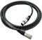 Evidence Audio - Lyric Microphone/Balanced Cable, 10 foot