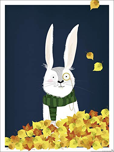 Close Up Kinderzimmer Poster Hase Wald (30cm x 40cm) + Ãœ-Poster