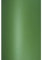 Netuno 100x Bastelkarton Weihnachts Grün DIN A4 21 x 29,7 cm 280g Aster Metallic Christmas Green Perlmuttkarton Grüntöne Effektkarton glänzend für Weihnachten Hochzeit Osterkarten