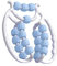rockible Relax Roller 20 Roues, Rouleau de Massage Rouleau de Relaxation Musculaire, Massage des Bras et des Jambes Pinces de Jambe Circulaires pour, Bleu